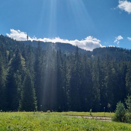 Elit Pamporovo Accommodation Екстериор снимка