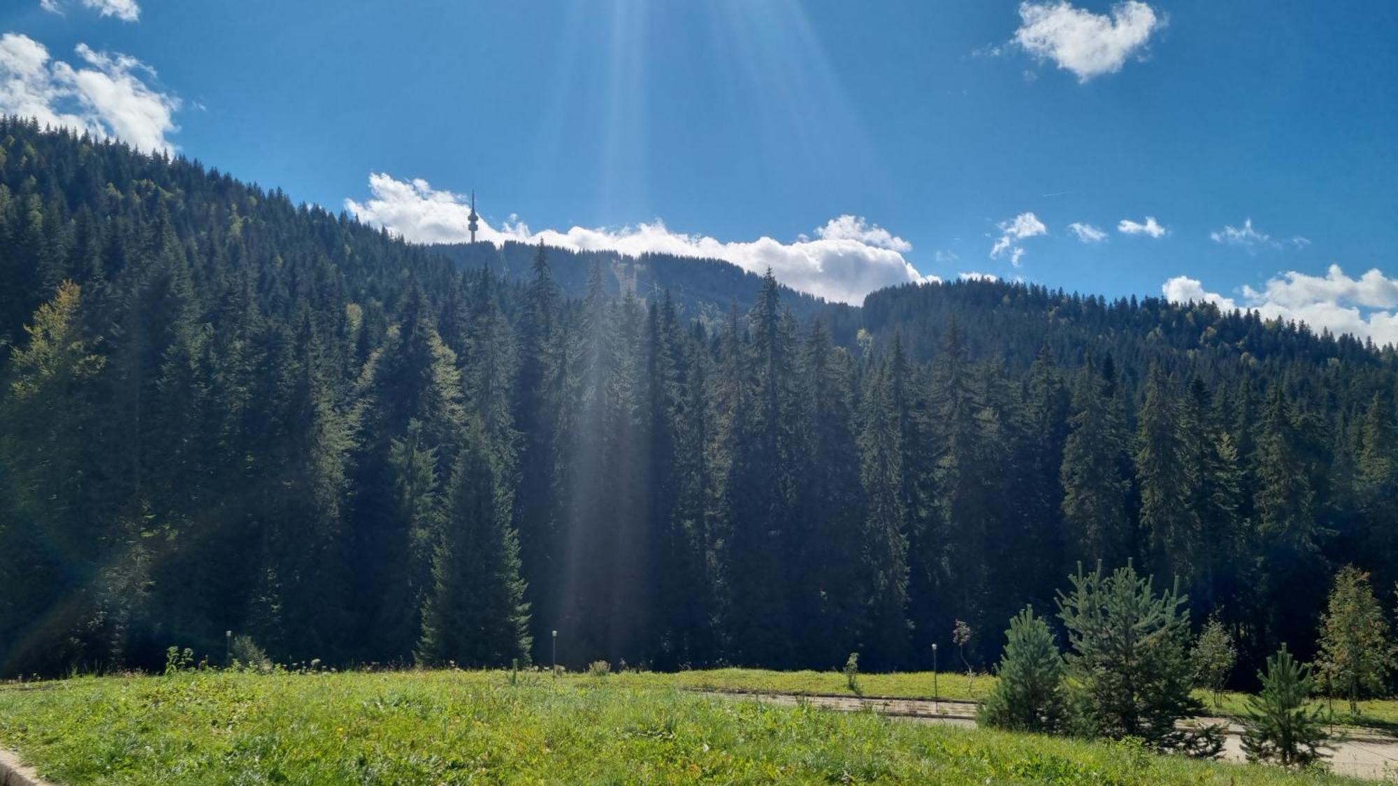 Elit Pamporovo Accommodation Екстериор снимка