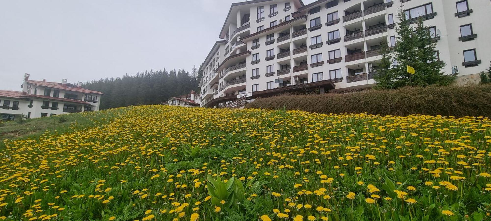 Elit Pamporovo Accommodation Екстериор снимка
